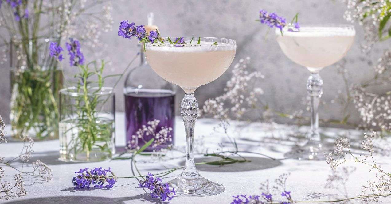 Two Elegant glasses of Lavender Cocktail or mocktails surrounded by ingredients and fresh lavender and gypsophila flowers on gray table surface. Refreshing drink ready for drinking.