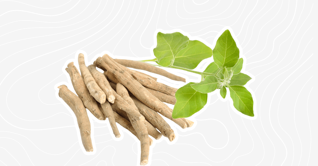 Ashwagandha mushroom