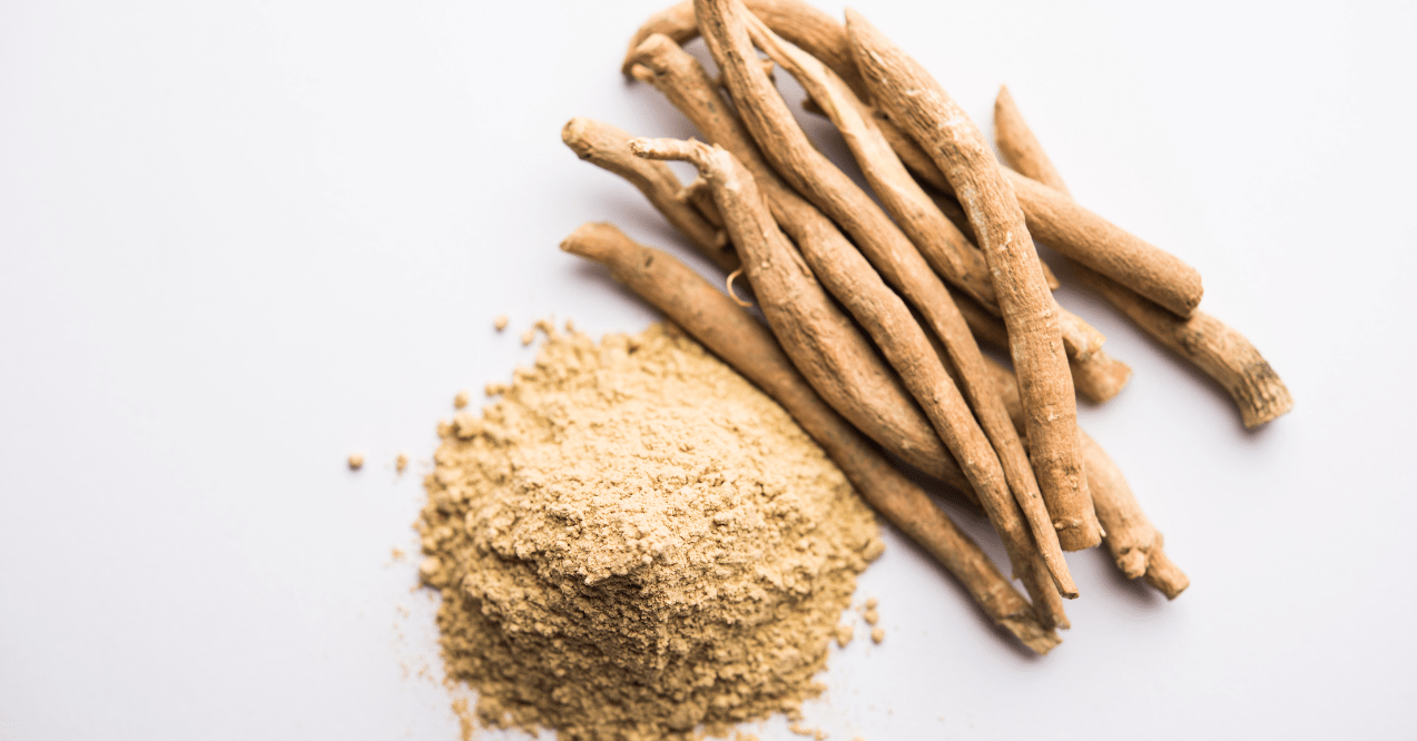Ashwagandha / Aswaganda OR Indian Ginseng is an Ayurveda medicine in stem and powder form. Isolated on plain background.