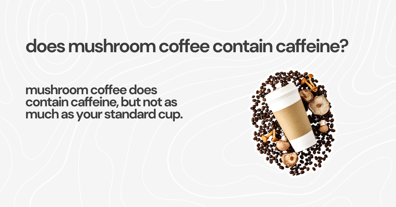 does mushroom coffee contain caffeine