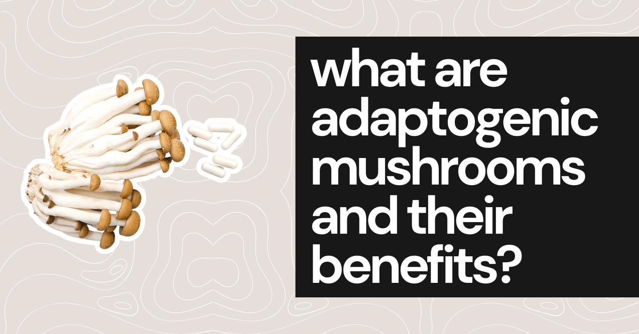 what are adaptogenic mushrooms and their benefits cover picture