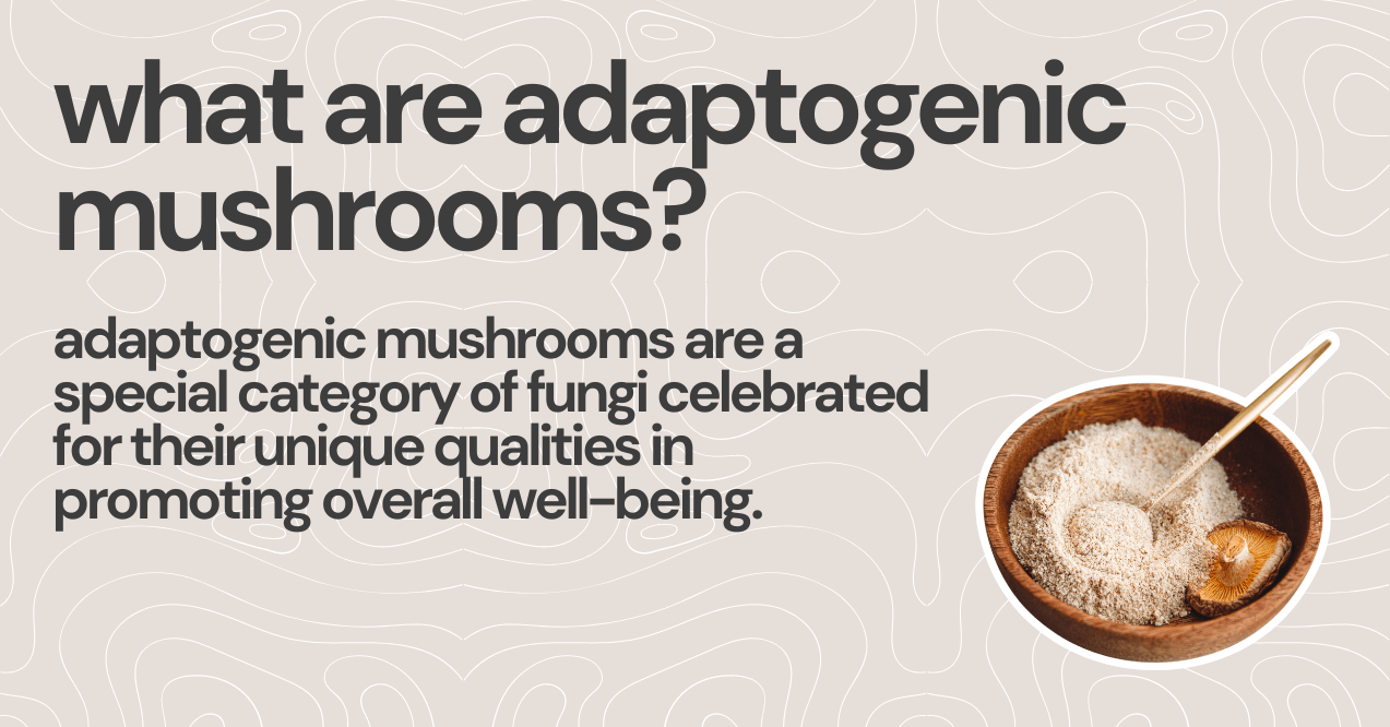 what are adaptogenic mushrooms infographic