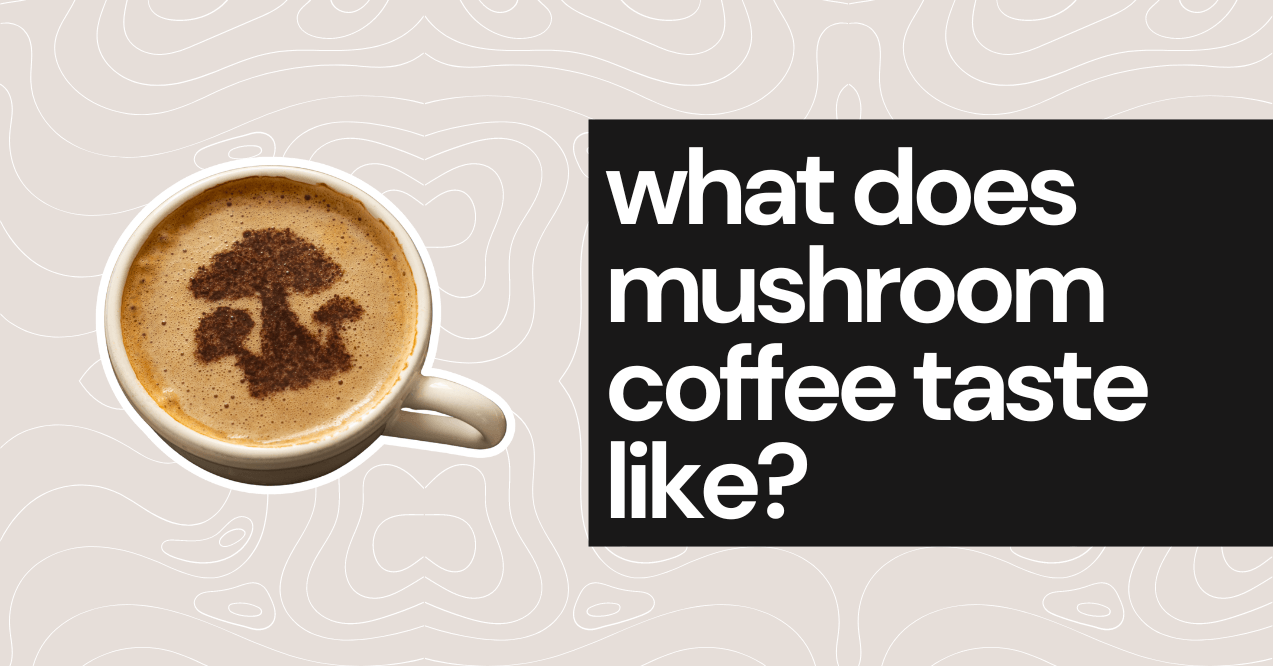 what does mushroom coffee taste like cover picture