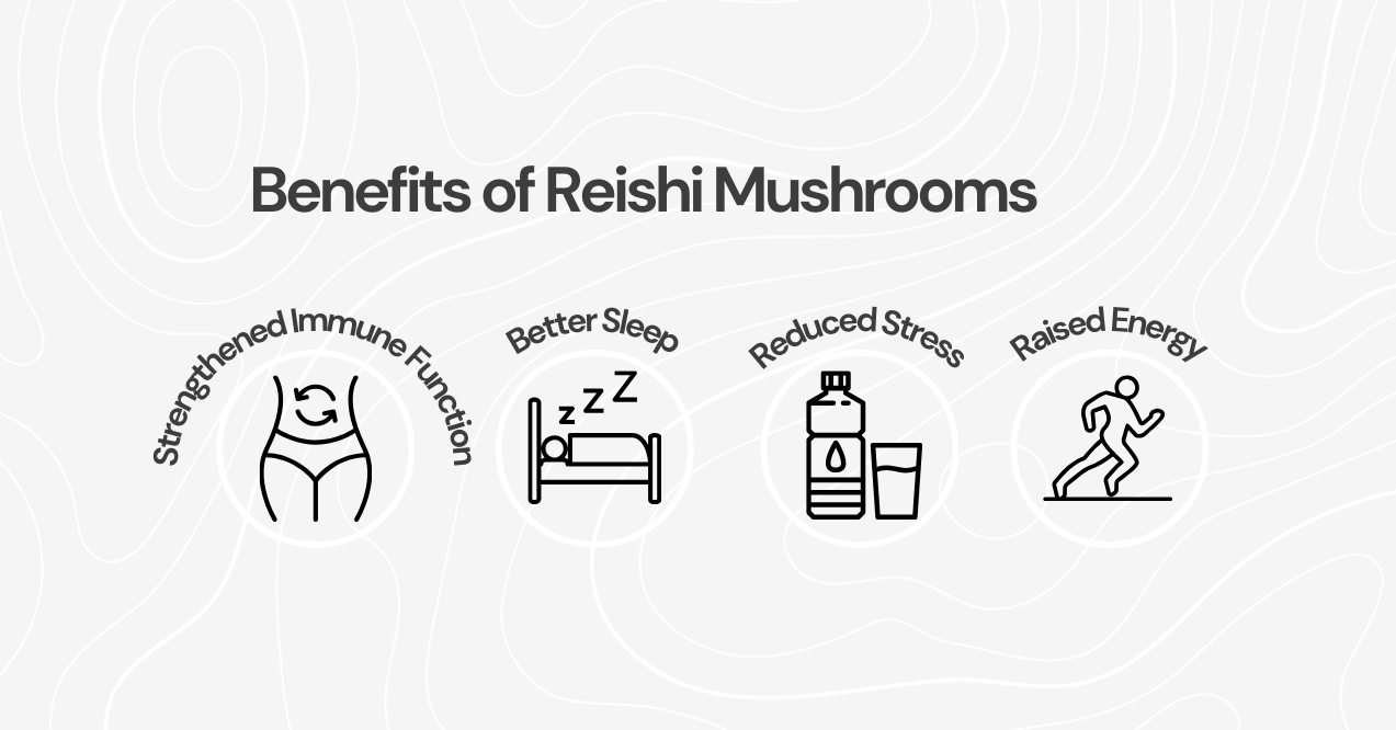 Benefits of Reishi Mushrooms