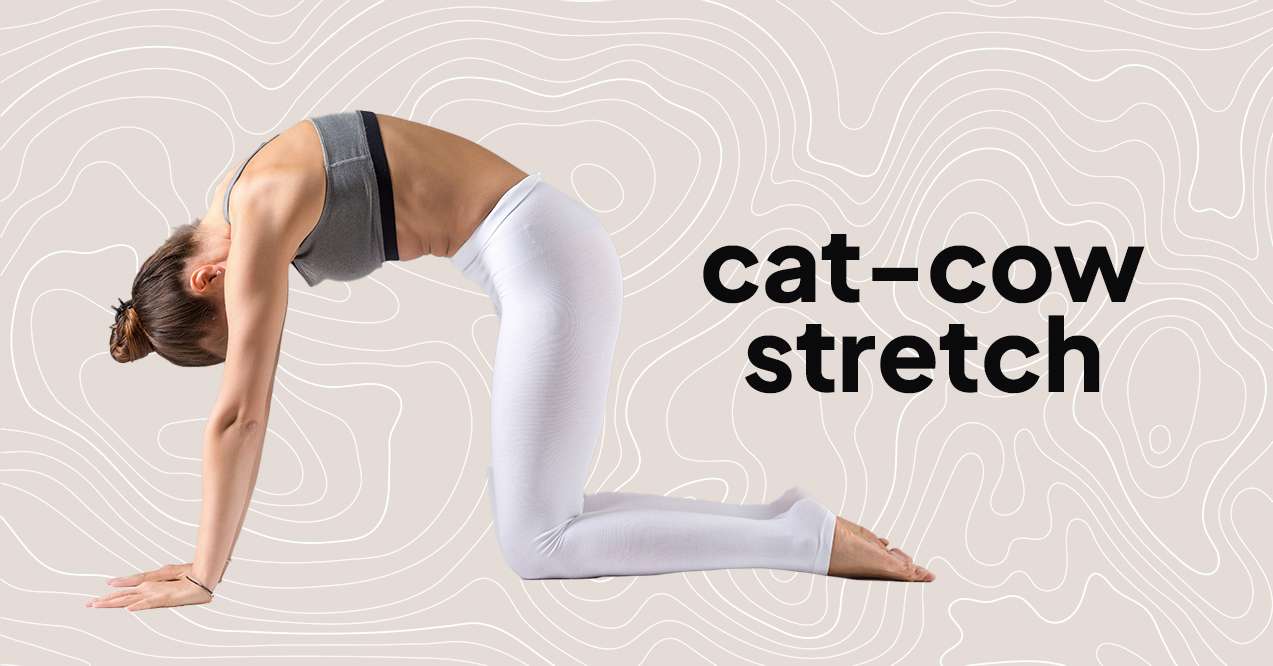 Cat Cow Stretch Infographic
