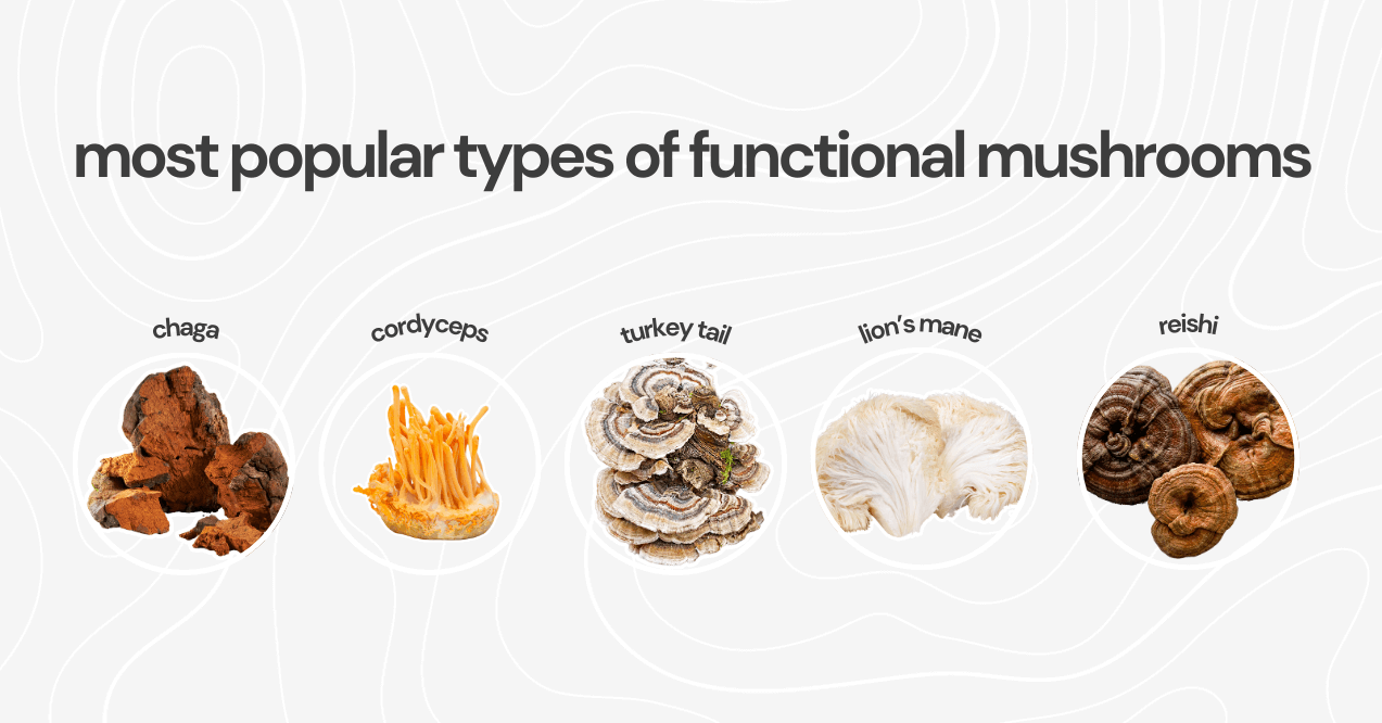 most popular types of functional mushrooms