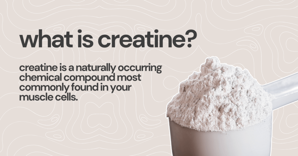 Does Creatine Make You Bloated? | Trumeta