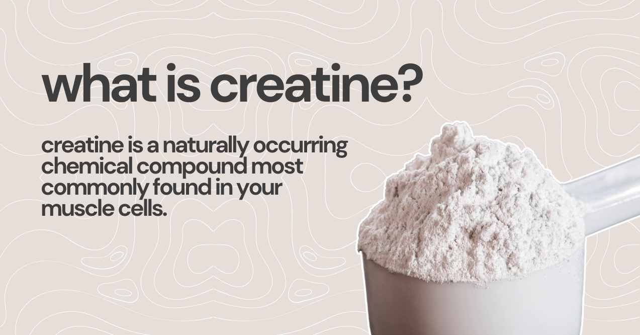 What is Creatine Infographic 