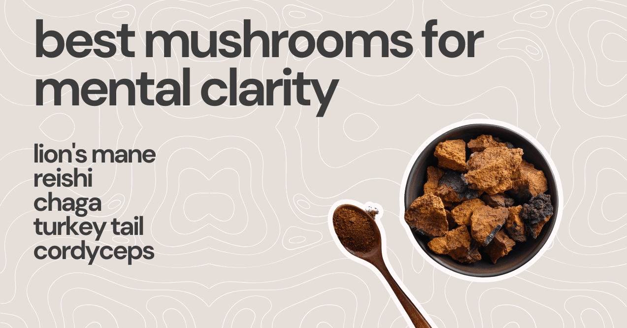 best mushrooms for mental clarity