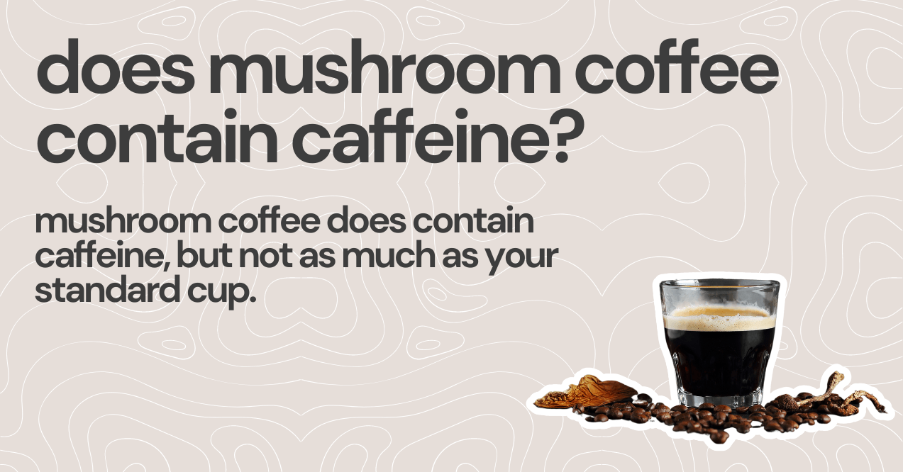 does mushroom coffee contain caffeine