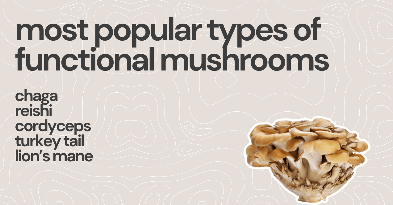 most popular types of functional mushrooms 