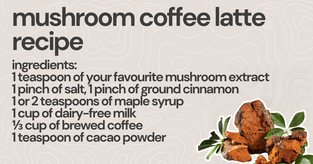 mushroom coffee latte recipe