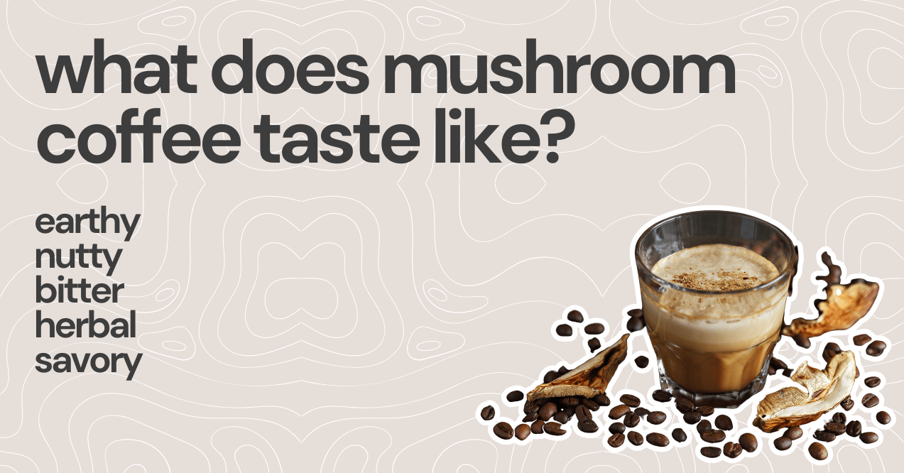 what does mushroom coffee taste like