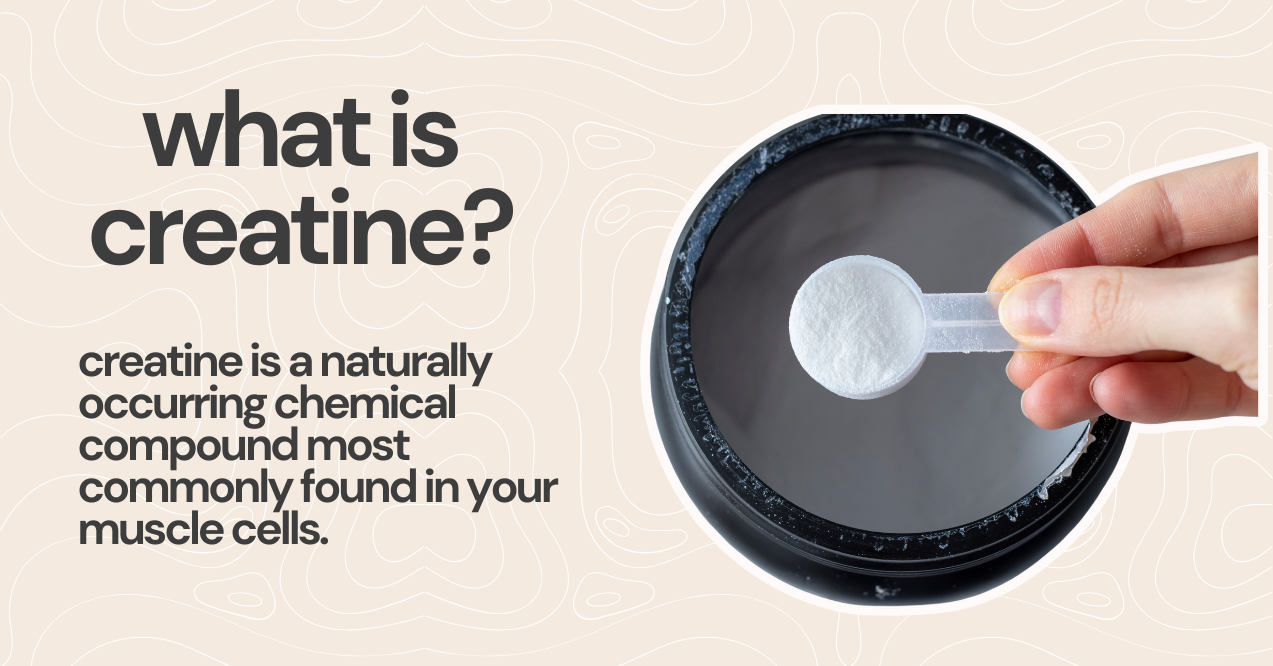 What is Creatine Infographic