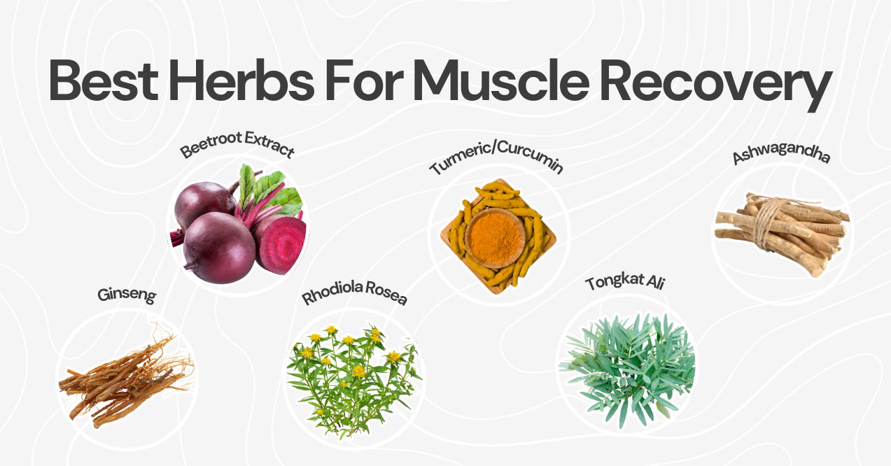 Best Herbs For Muscle Recovery