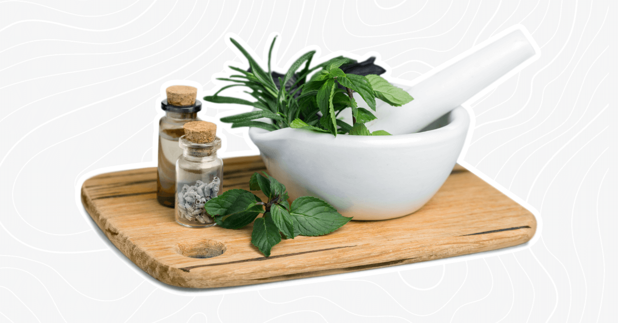 herbs for muscle recovery