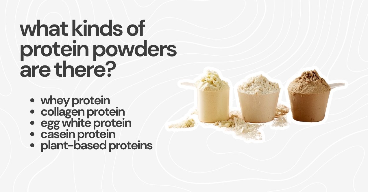 List of protein powder types with scoops of protein powder in background.