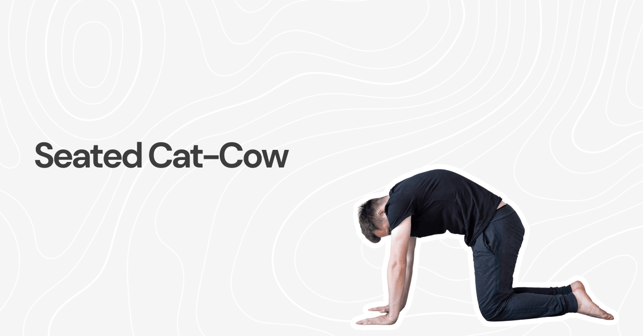 Seated Cat-Cow