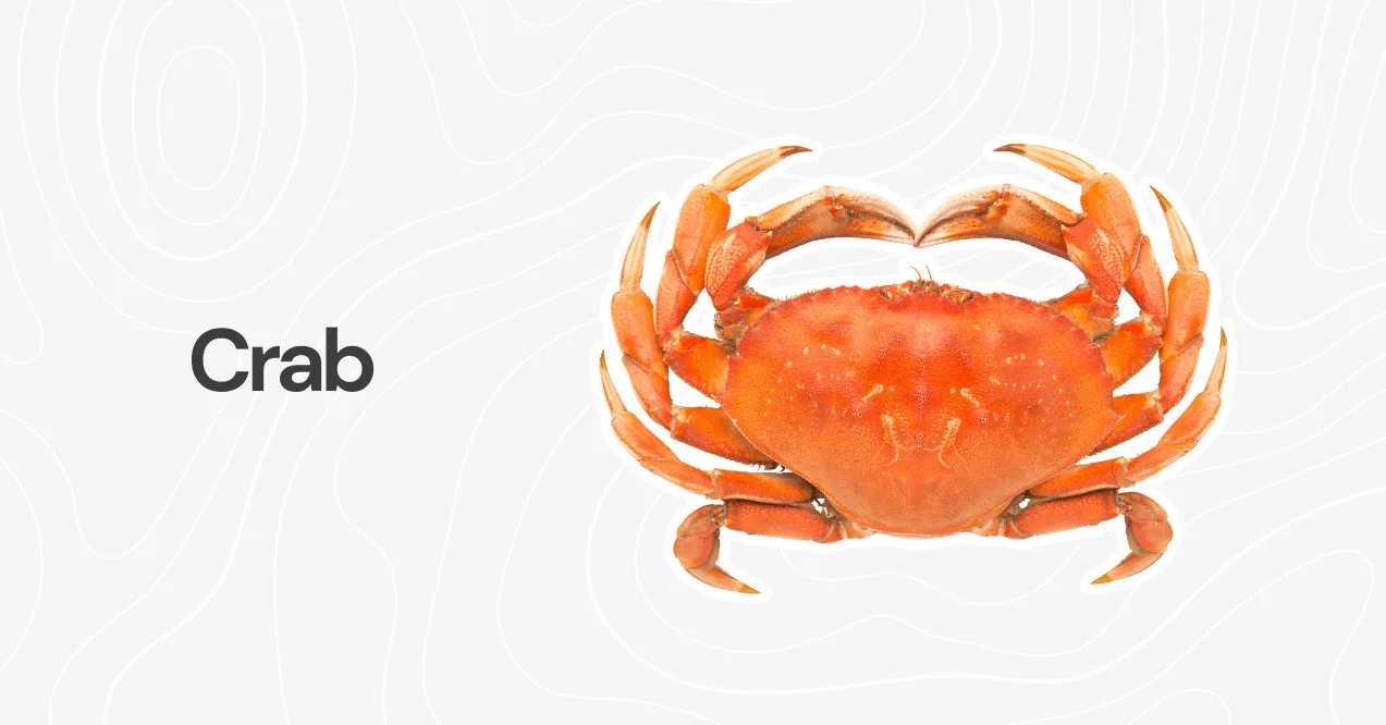 A whole cooked crab with a reddish-orange shell, positioned against a light background with a subtle abstract pattern.