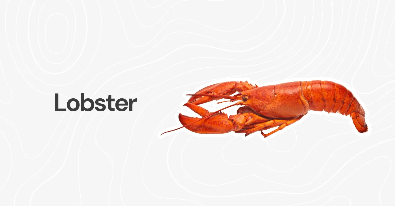A whole cooked red lobster, displayed against a light background with a subtle abstract pattern.