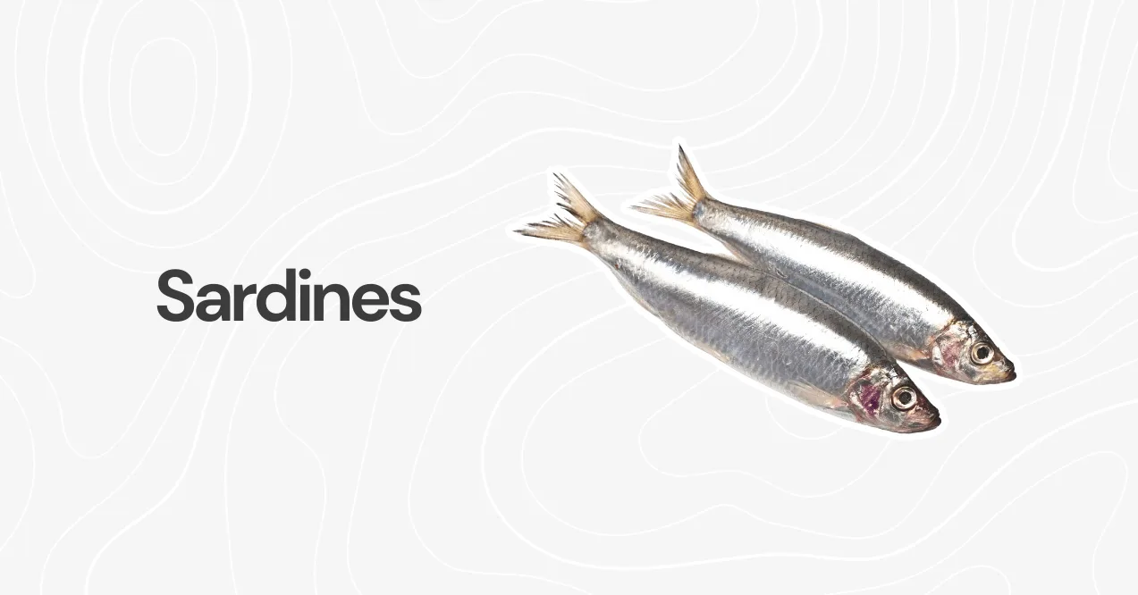 Two whole fresh sardines with shiny silver scales, placed on a white background with a subtle abstract pattern.