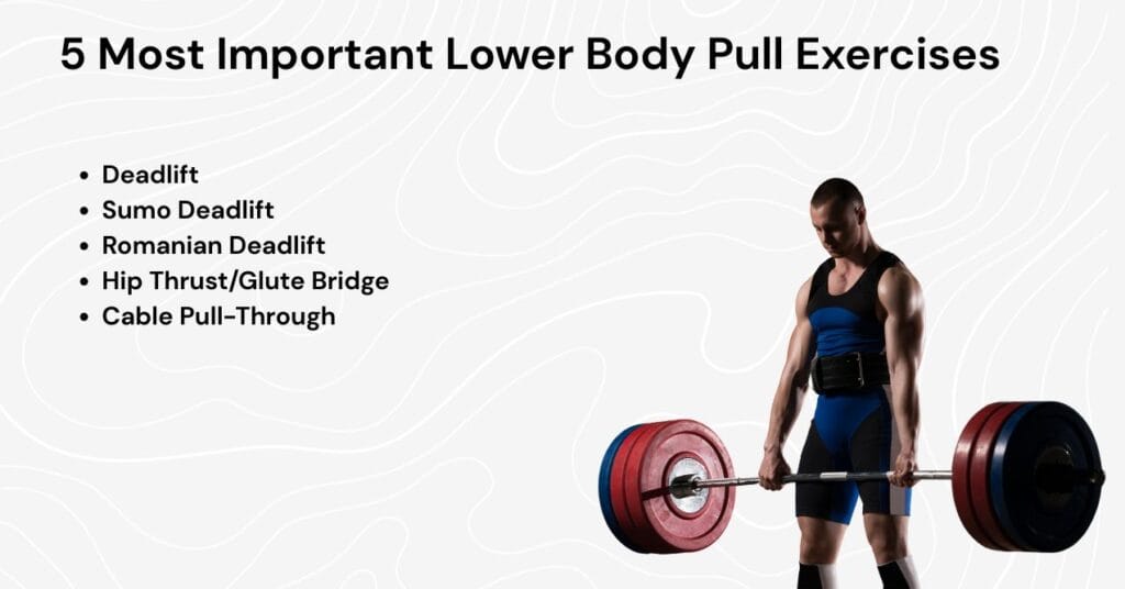 man performing a deadlift with a list of top lower body pull exercises: Deadlift, Sumo Deadlift, Romanian Deadlift, Hip Thrust/Glute Bridge, and Cable Pull-Through.