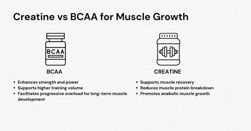 Visual guide comparing creatine and BCAA in terms of their roles in muscle growth and recovery.